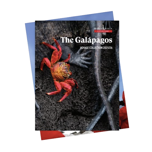 visual-brochures-silversea-bib-december-2025.png