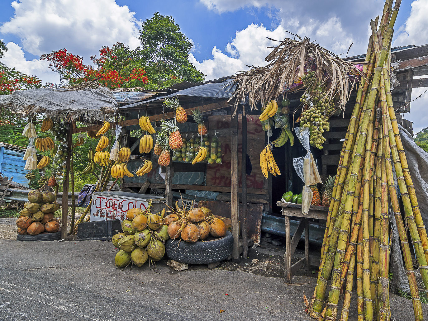 Bog-Walk-St-Catherine-Jamaica-web-e1574850705989.jpg