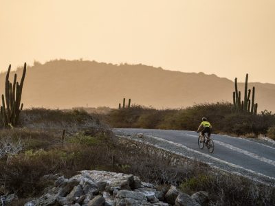 Aruba-Nature-Groot