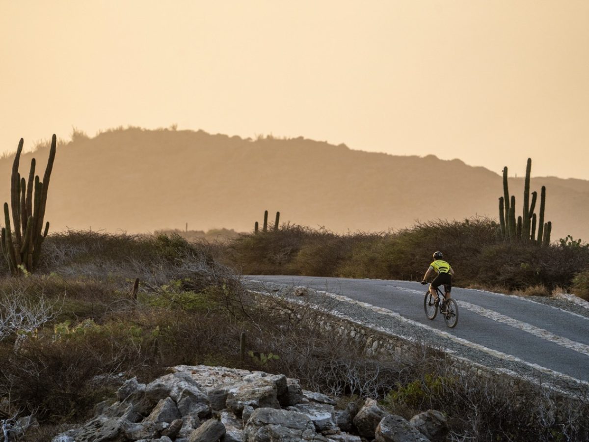 Aruba-Nature-Groot