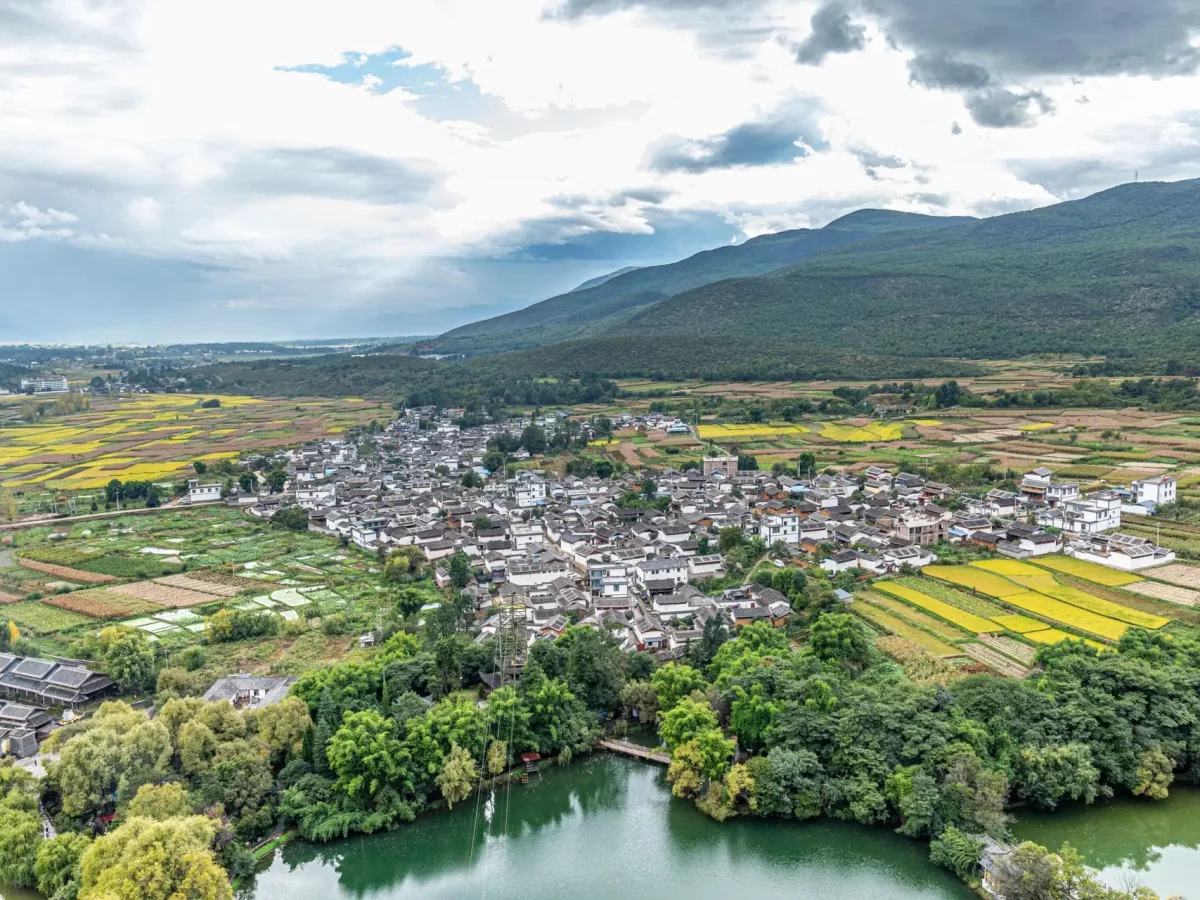 Congijang_pexels-feiwang-15969590