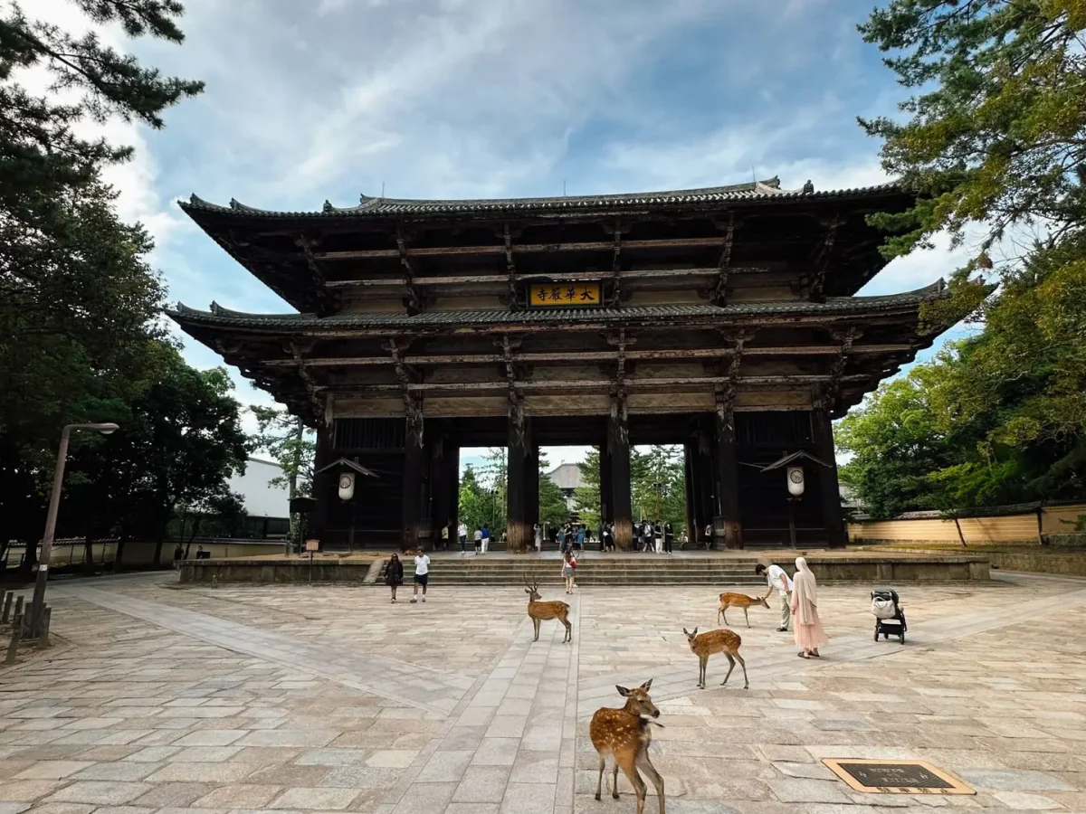 Nara_pexels-alperengmssy-38729274