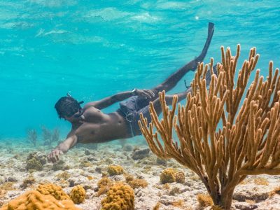 Snorkeling-at-Mangel-Halto-Groot