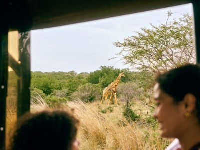 SouthAfrica_BeachSafari_5-groot