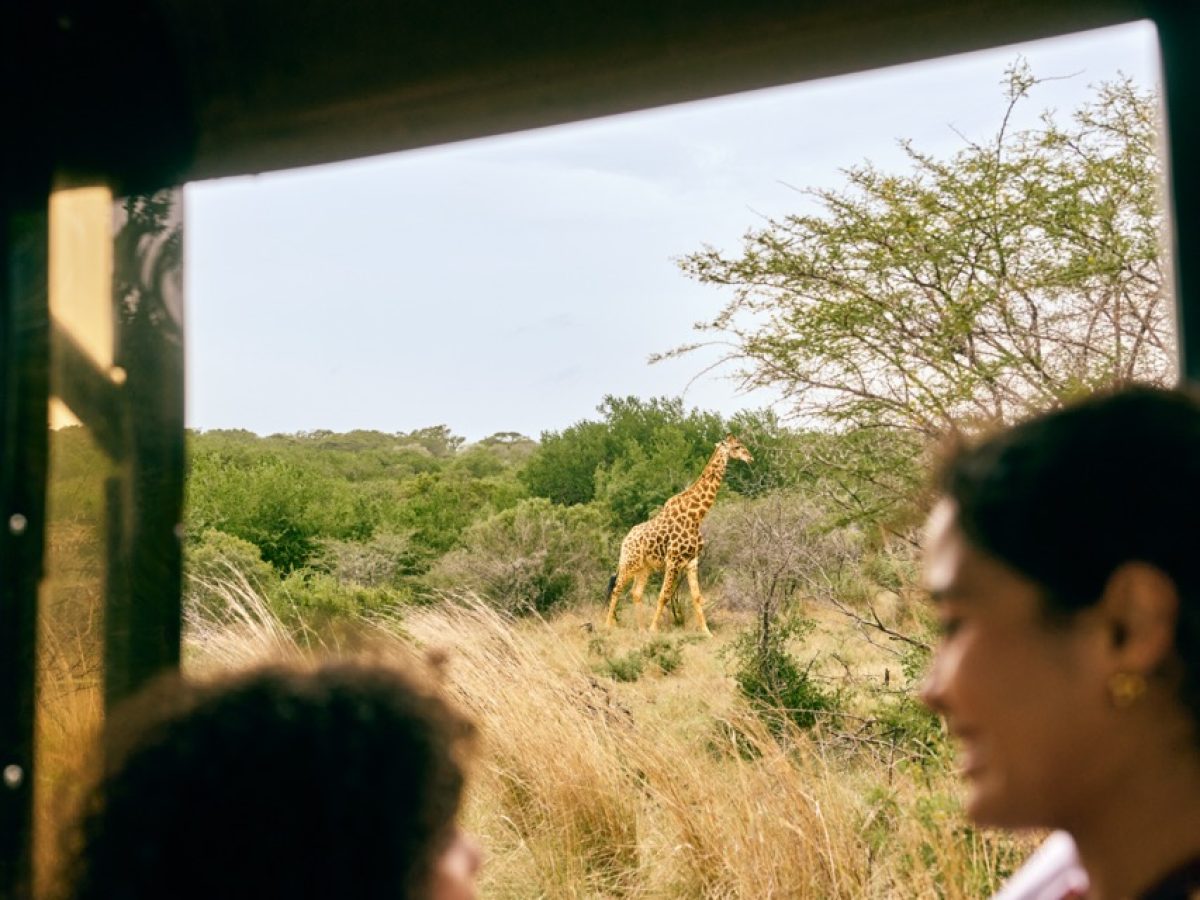 SouthAfrica_BeachSafari_5-groot