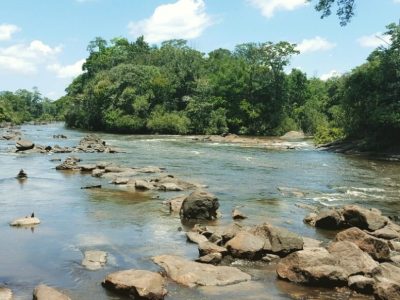 Suriname rivier 2