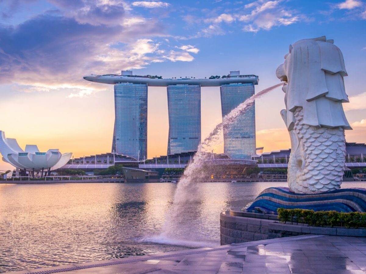 singapore5-Groot