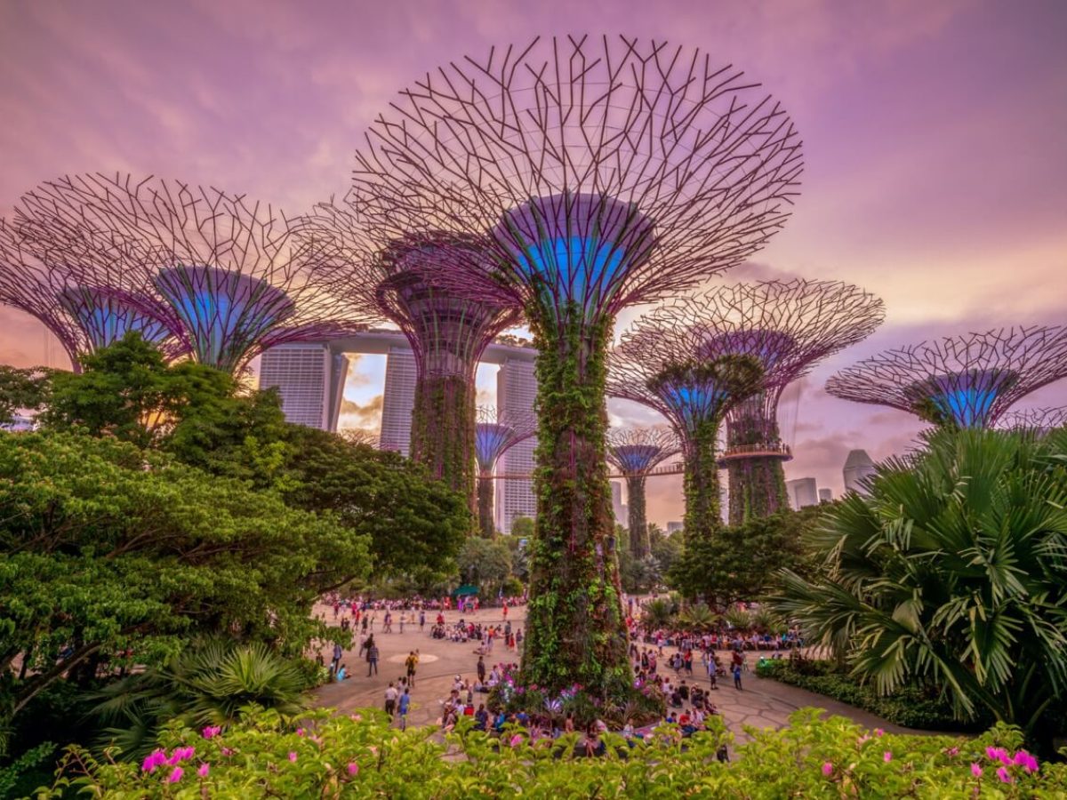 singapore8-Groot
